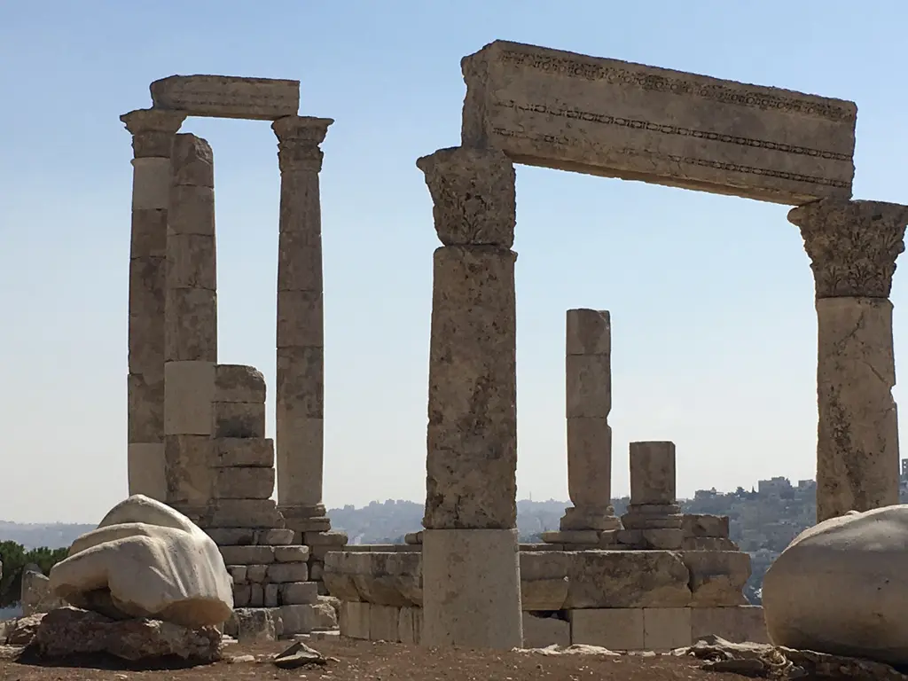 Reports & Publications